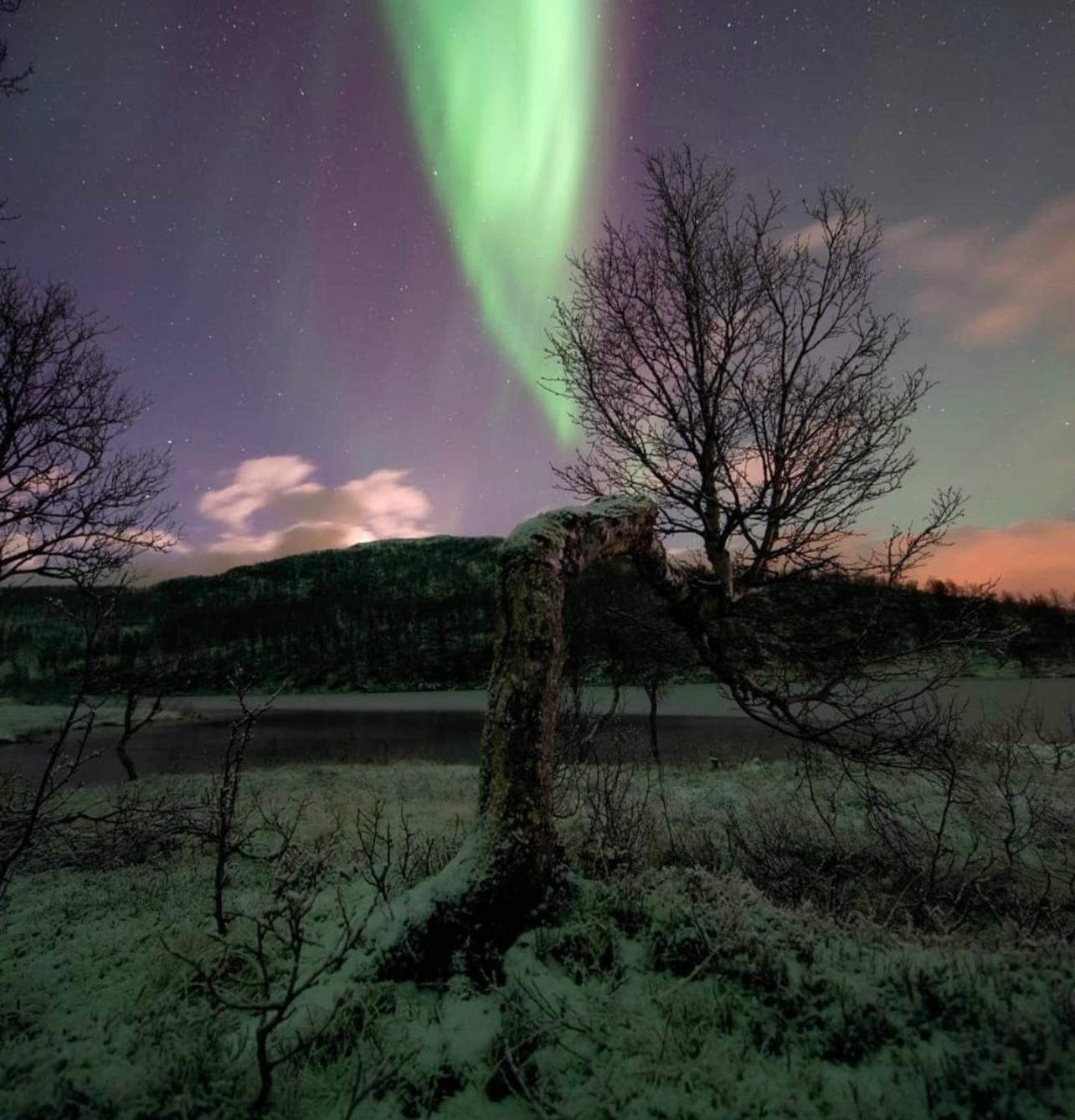 Harstad, All Seasons Exterior foto